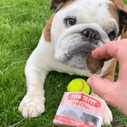 Farm To Pet Beef Chips Snack Pack Bundles | Dog Treats for Training & Travel Snack Pack