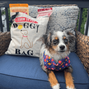 Farm To Pet Farm To Pet Tote Bag | Paw-some Gift for Animal Lovers Tote