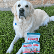 Farm To Pet Fish Chips Snack Pack Bundles | Dog Treats for Training & Travel Snack Pack