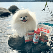 Farm To Pet Treat Topper Fish Dog Food Topper | Low-Fat Meal Topper for Pets Topper