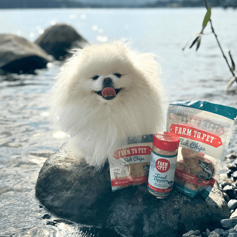 Farm To Pet Treat Topper Fish Dog Food Topper | Low-Fat Meal Topper for Pets Topper