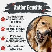 Farm To Pet Deer Antler Dog Chews | Organic Chews for Dogs Antler Dog Chew
