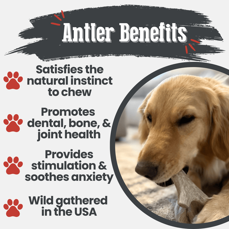 Farm To Pet Deer Antler Dog Chews | Organic Chews for Dogs Antler Dog Chew
