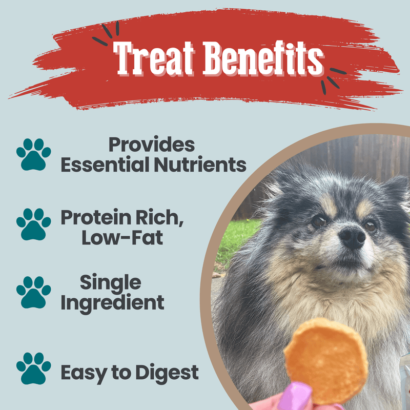 Farm To Pet Fish Chips Snack Pack Bundles | Dog Treats for Training & Travel Snack Pack