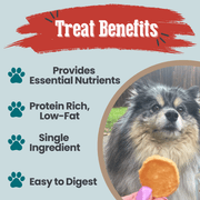 Farm To Pet Fish Chips Snack Pack Bundles | Dog Treats for Training & Travel Snack Pack