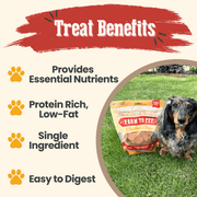 Farm To Pet Chicken Chips for Dogs | All-Natural Single-Ingredient Dog Treats Chip