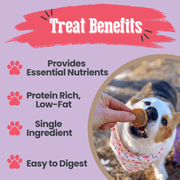 Farm To Pet Puppy Love Dog Treat Duo | Poultry Chip Variety Pack Chip