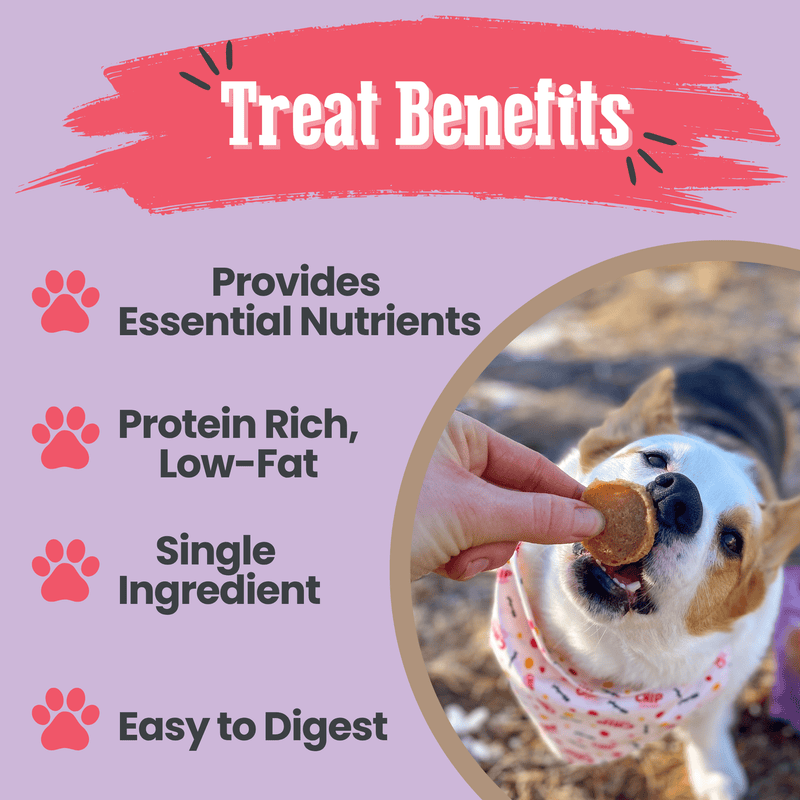 Farm To Pet Puppy Love Dog Treat Duo | Poultry Chip Variety Pack Chip