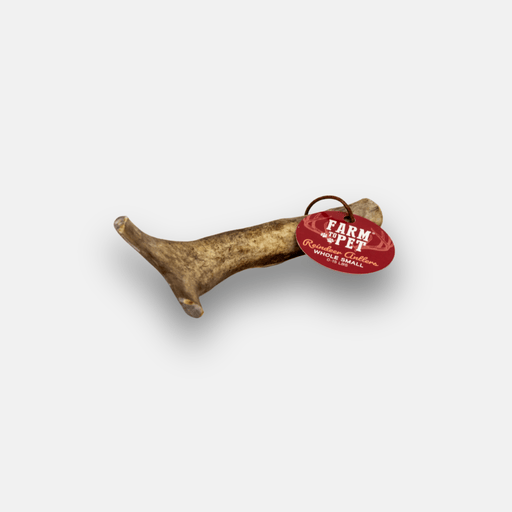 Farm To Pet Reindeer Antler Dog Chews | Organic Chews for Dogs Antler Dog Chew Lavender Whole / Small (1-15 LBS)