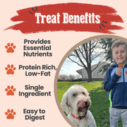 Farm To Pet Turkey Chips for Dogs | All-Natural Single-Ingredient Healthy Dog Treats Chip