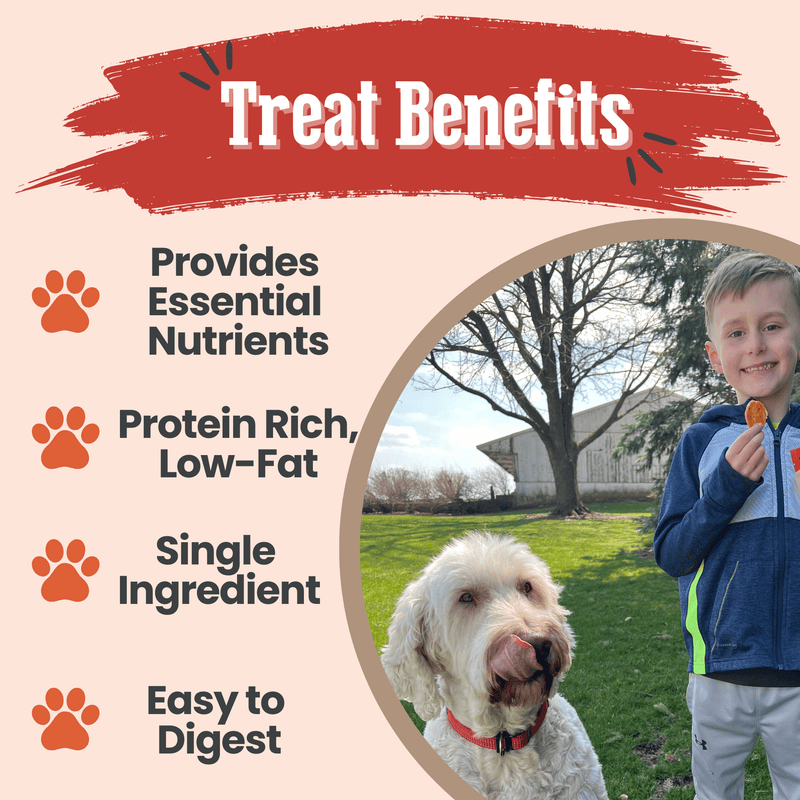 Farm To Pet Turkey Chips for Dogs | All-Natural Single-Ingredient Healthy Dog Treats Chip