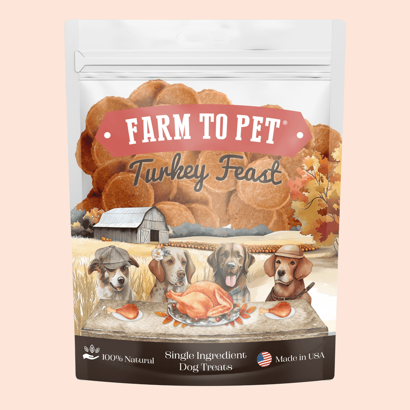 Farm To Pet Turkey Feast Chips Chip