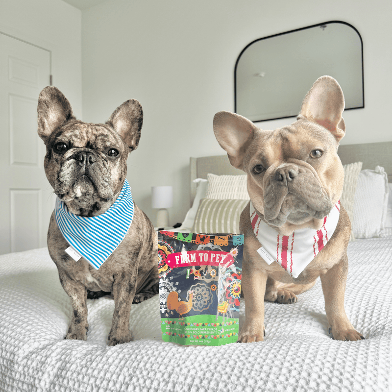 Farm To Pet Premios Para Perros Fiesta Pack | Dog Treat Variety Bundle Chip