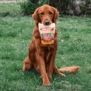 Farm To Pet Chicken Chips for Dogs | All-Natural Single-Ingredient Dog Treats Chip
