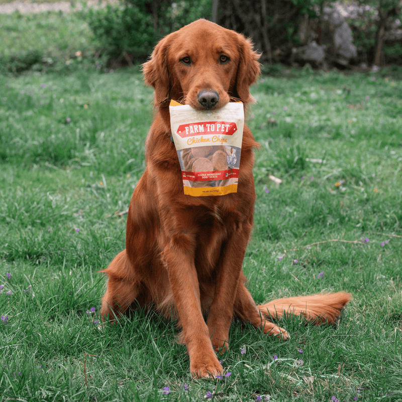 Farm To Pet Chicken Chips for Dogs | All-Natural Single-Ingredient Dog Treats Chip