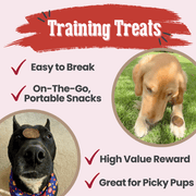 Farm To Pet Beef Chips Dog Treats | Single-Ingredient Healthy Treats for Dogs Chip