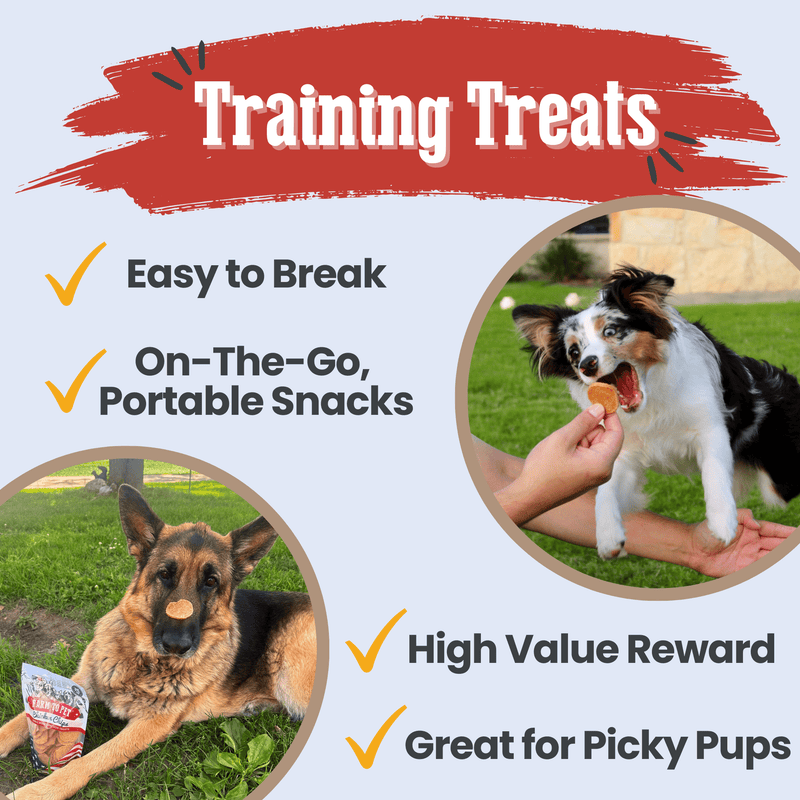 Farm To Pet Americana Chicken Chips for Dogs | Celebrate with USA-made Dog Treats Chip