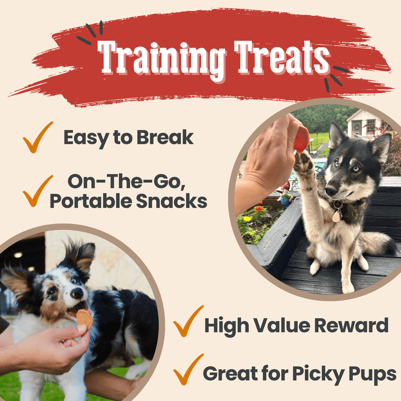Farm To Pet Turkey & Chicken Chip Dog Treat Duo | Single-Ingredient Poultry Treats for Dogs Chip