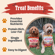 Farm To Pet Turkey & Chicken Chip Dog Treat Duo | Single-Ingredient Poultry Treats for Dogs Chip