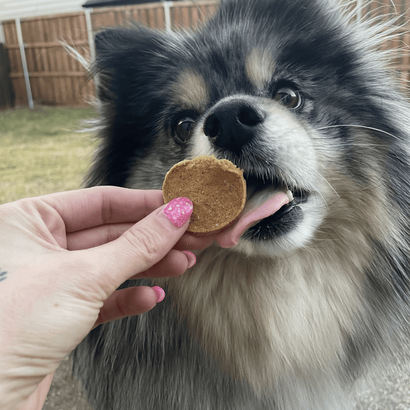 Farm To Pet Fish Chips for Dogs | Wild-Caught Fish Dog Treats Chip