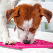 Farm To Pet Lick Mats for Cats and Small Dogs Lick Mat
