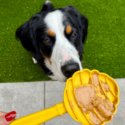Farm To Pet Lick Sticks | Interactive Dog Training Toy Lick Stick