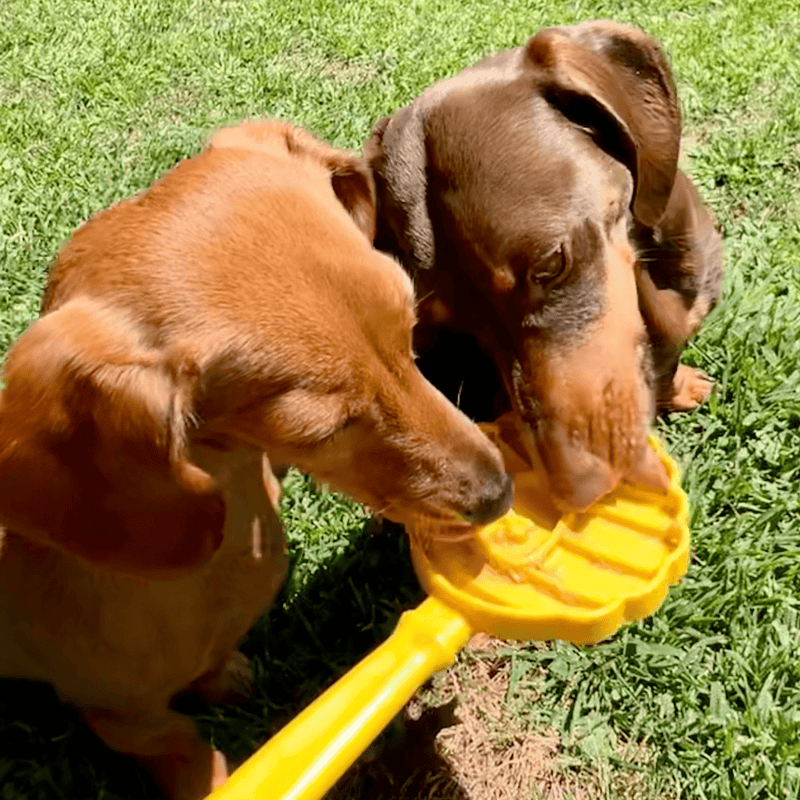 Farm To Pet Lick Sticks | Interactive Dog Training Toy Lick Stick