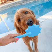 Farm To Pet Lick Sticks | Interactive Dog Training Toy Lick Stick