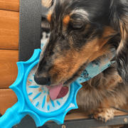 Farm To Pet Lick Sticks | Interactive Dog Training Toy Lick Stick