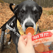 Farm To Pet Turkey Chips Snack Pack Bundles | Low Allergen Treats for Training Snack Pack