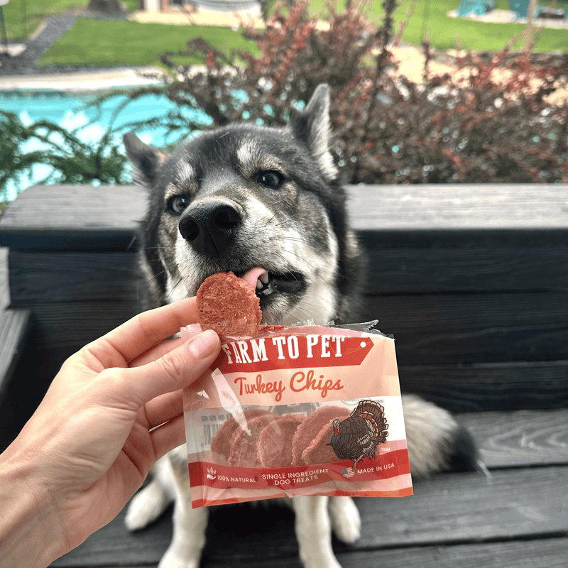 Farm To Pet Turkey Chips Snack Pack Bundles | Low Allergen Treats for Training Snack Pack