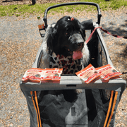 Farm To Pet Turkey Chips Snack Pack Bundles | Low Allergen Treats for Training Snack Pack