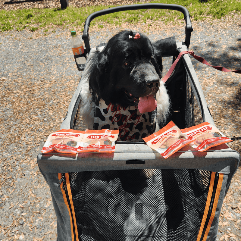 Farm To Pet Turkey Chips Snack Pack Bundles | Low Allergen Treats for Training Snack Pack