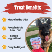 Farm To Pet Americana Chicken Chips for Dogs | Celebrate with USA-made Dog Treats Chip