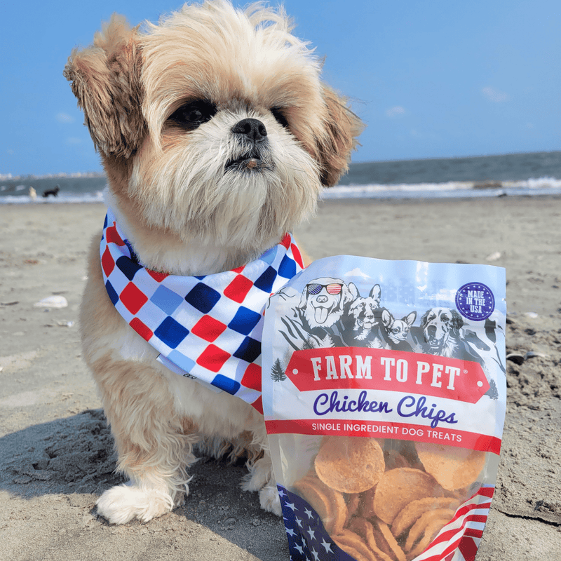 Farm To Pet Americana Chicken Chips for Dogs | Celebrate with USA-made Dog Treats Chip