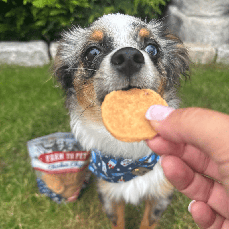 Farm To Pet Americana Chicken Chips for Dogs | Celebrate with USA-made Dog Treats Chip