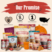 Farm To Pet Turkey & Chicken Chip Dog Treat Duo | Single-Ingredient Poultry Treats for Dogs Chip
