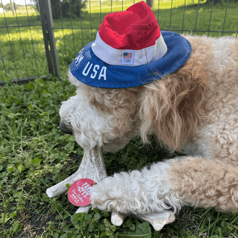Farm To Pet Deer Antler Dog Chews | Organic Chews for Dogs Antler Dog Chew