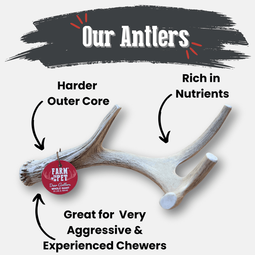 Farm To Pet Deer Antler Dog Chews | Organic Chews for Dogs Antler Dog Chew