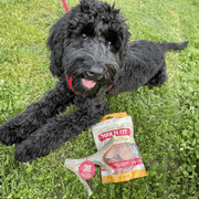 Farm To Pet Deer Antler Dog Chews | Organic Chews for Dogs Antler Dog Chew