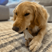 Farm To Pet Deer Antler Dog Chews | Organic Chews for Dogs Antler Dog Chew