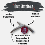 Farm To Pet Deer Antler Dog Chews | Organic Chews for Dogs Antler Dog Chew