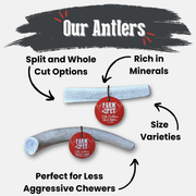 Farm To Pet Elk Antler Dog Chews | All-Natural Whole and Split Elk Antler Chews for Dogs Antler Dog Chew