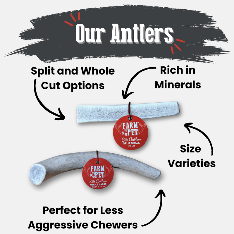 Farm To Pet Elk Antler Dog Chews | All-Natural Whole and Split Elk Antler Chews for Dogs Antler Dog Chew
