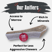 Farm To Pet Elk Antler Dog Chews | All-Natural Whole and Split Elk Antler Chews for Dogs Antler Dog Chew