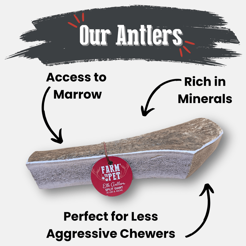 Farm To Pet Elk Antler Dog Chews | All-Natural Whole and Split Elk Antler Chews for Dogs Antler Dog Chew