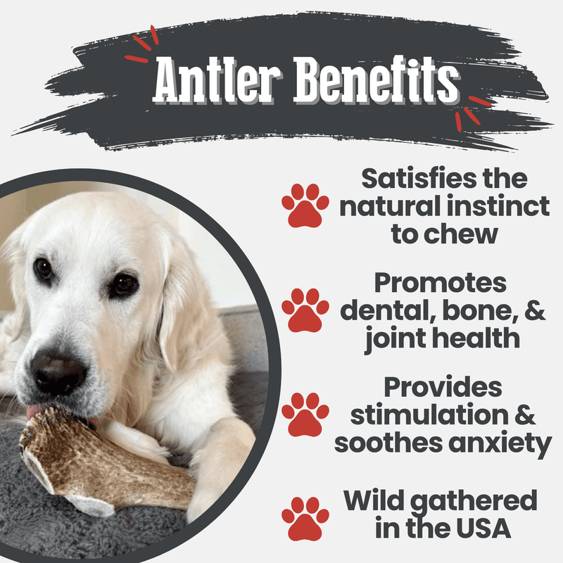 Farm To Pet Elk Antler Dog Chews | All-Natural Whole and Split Elk Antler Chews for Dogs Antler Dog Chew
