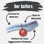 Farm To Pet Elk Antler Dog Chews | All-Natural Whole and Split Elk Antler Chews for Dogs Antler Dog Chew