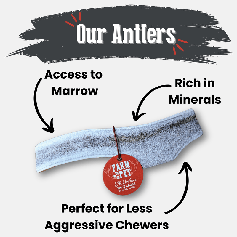 Farm To Pet Elk Antler Dog Chews | All-Natural Whole and Split Elk Antler Chews for Dogs Antler Dog Chew