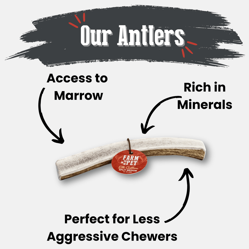 Farm To Pet Elk Antler Dog Chews | All-Natural Whole and Split Elk Antler Chews for Dogs Antler Dog Chew
